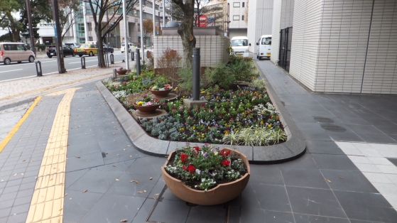 DSCF1579