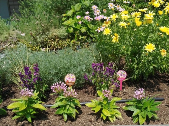 1.5.24no2