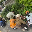 IMG_6654